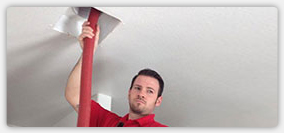 Steam Cleaning Carpets