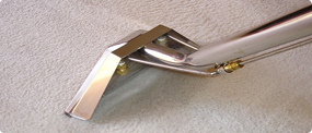 Steam Cleaning Carpets