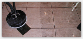 Steam Cleaning Carpets